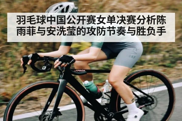 羽毛球中国公开赛女单决赛分析陈雨菲与安洗莹的攻防节奏与胜负手